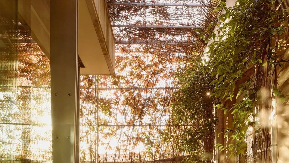 Small terrace with woven chairs, round table, and greenery creating a secluded outdoor corner