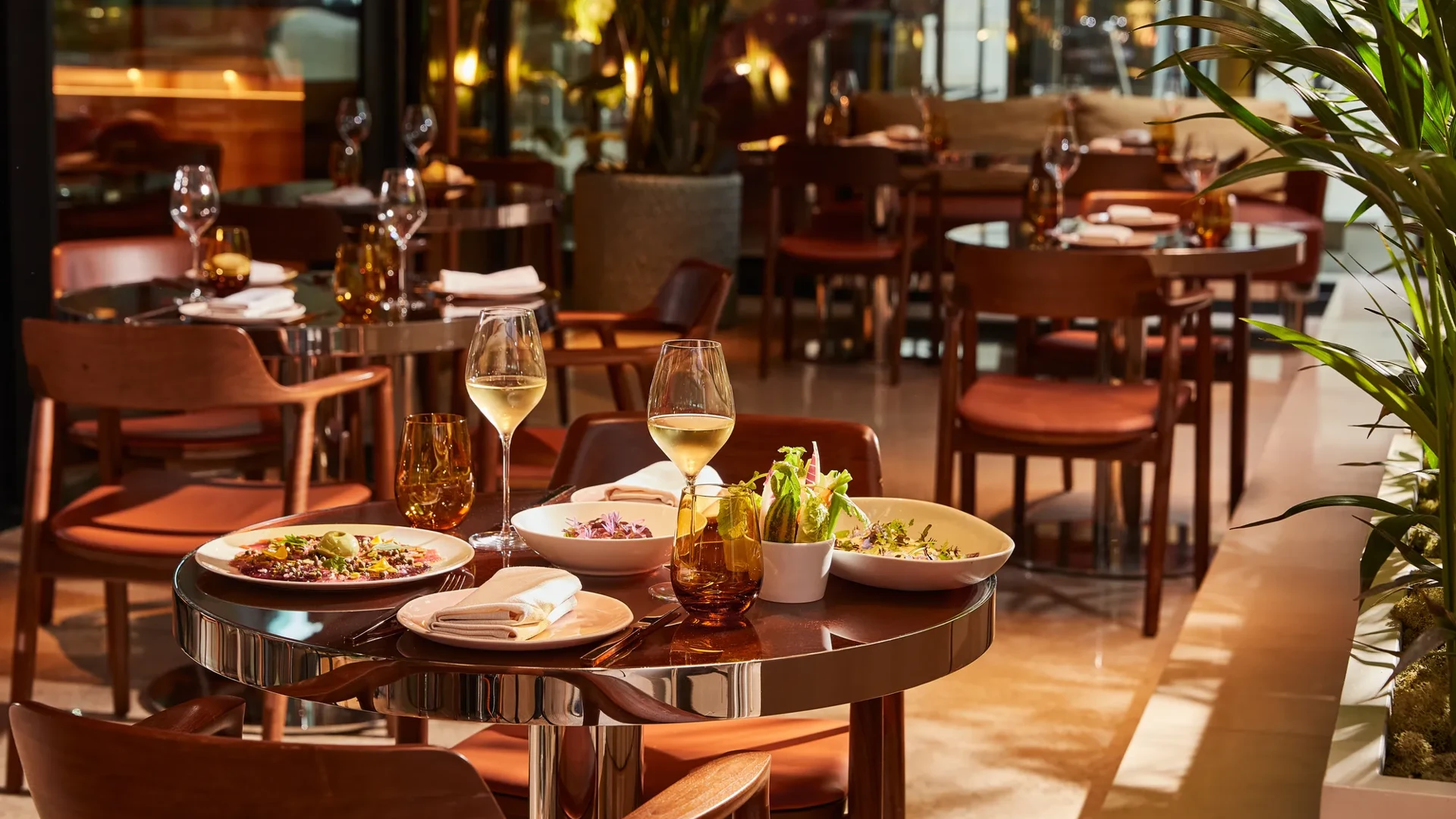 Table set for two with white wine, salad, and small plates in a sunlit restaurant with wooden chairs and greenery.