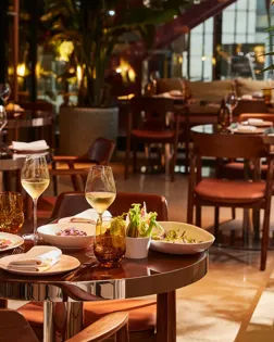 Table set for two with white wine, salad, and small plates in a sunlit restaurant with wooden chairs and greenery.