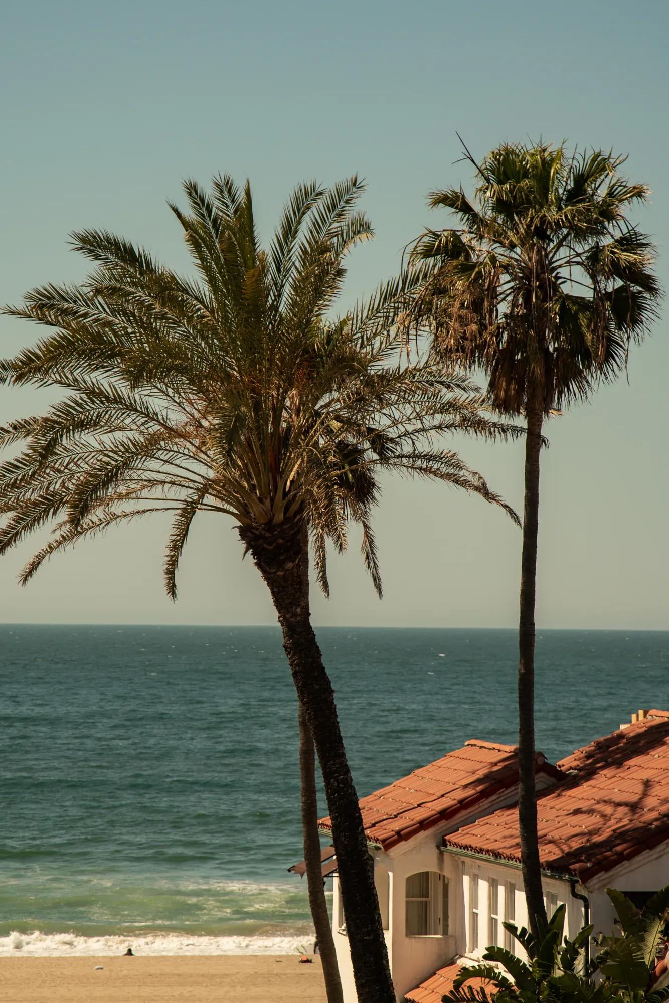 Malibu beach with waves, golden sand, and clear blue sky.