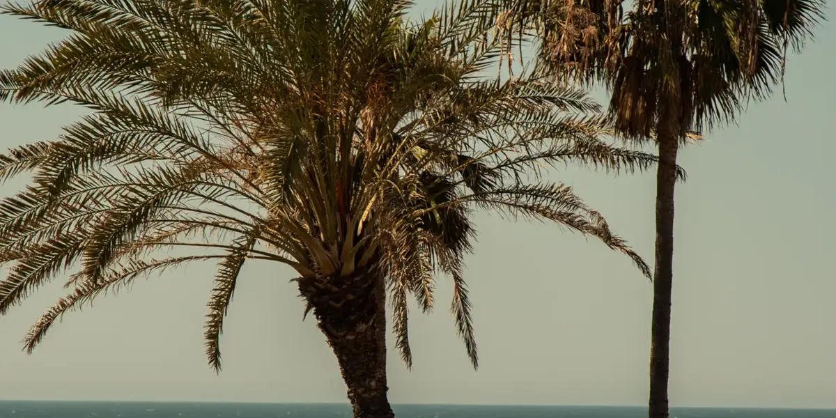Malibu beach with waves, golden sand, and clear blue sky.
