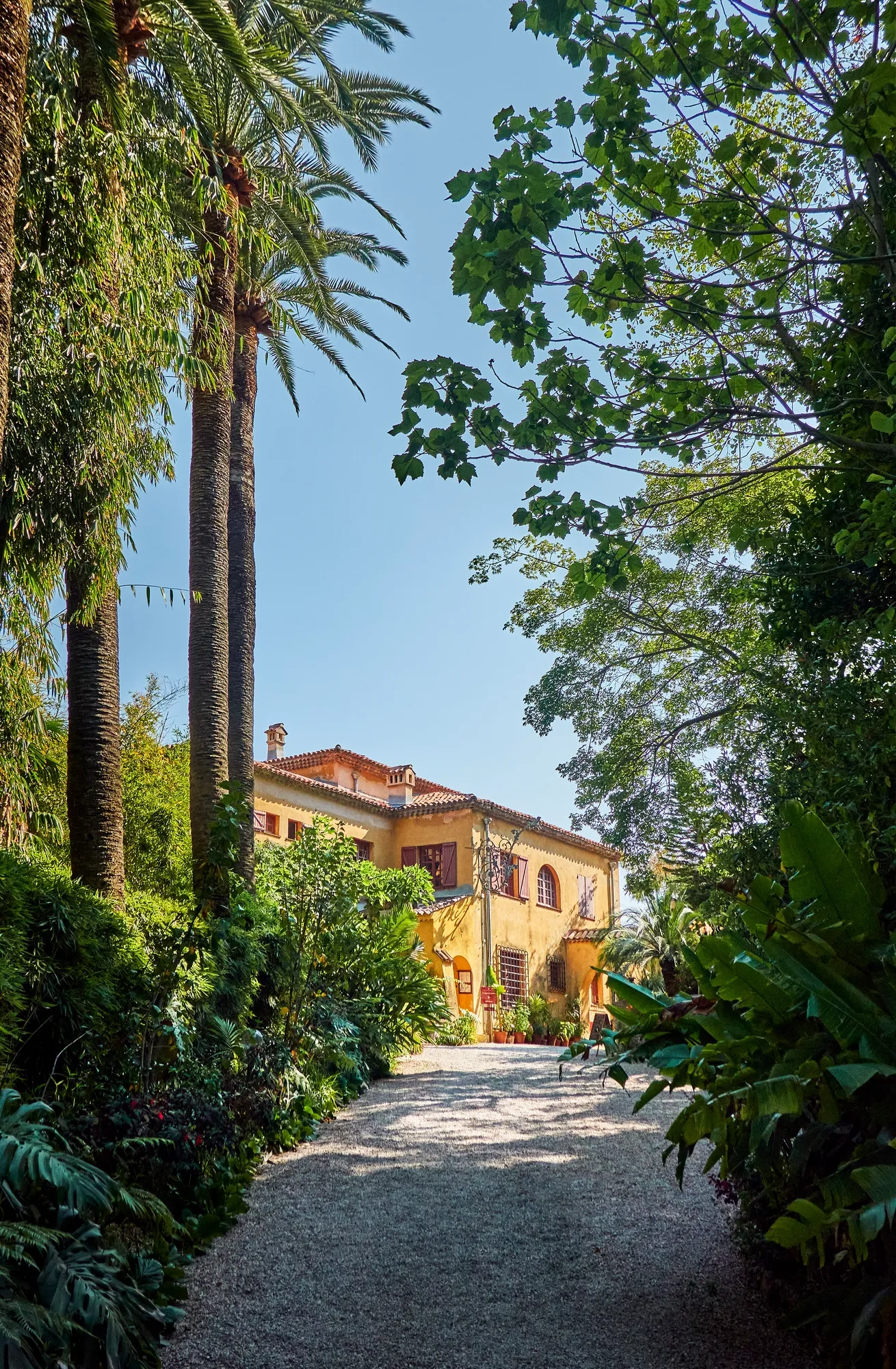 Gravel path winding through lush gardens toward a Mediterranean villa framed by palm trees and greenery.