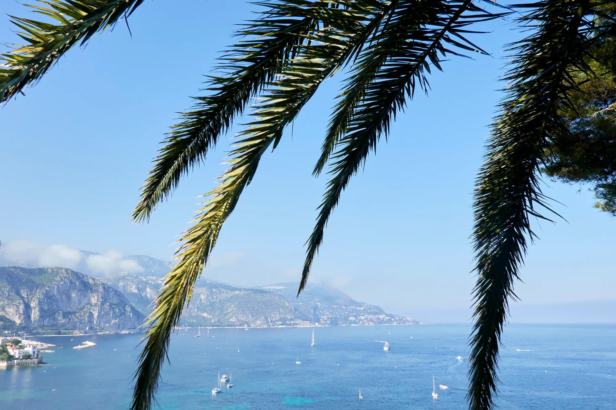 Palm fronds frame coastal view with boats on blue sea and distant mountains under clear sky.