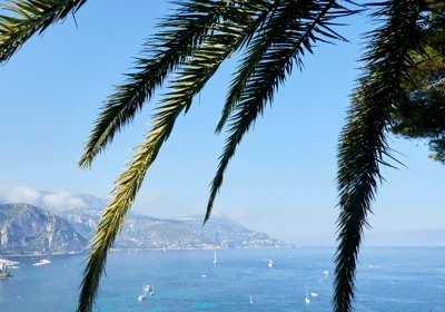 Palm fronds frame coastal view with boats on blue sea and distant mountains under clear sky.