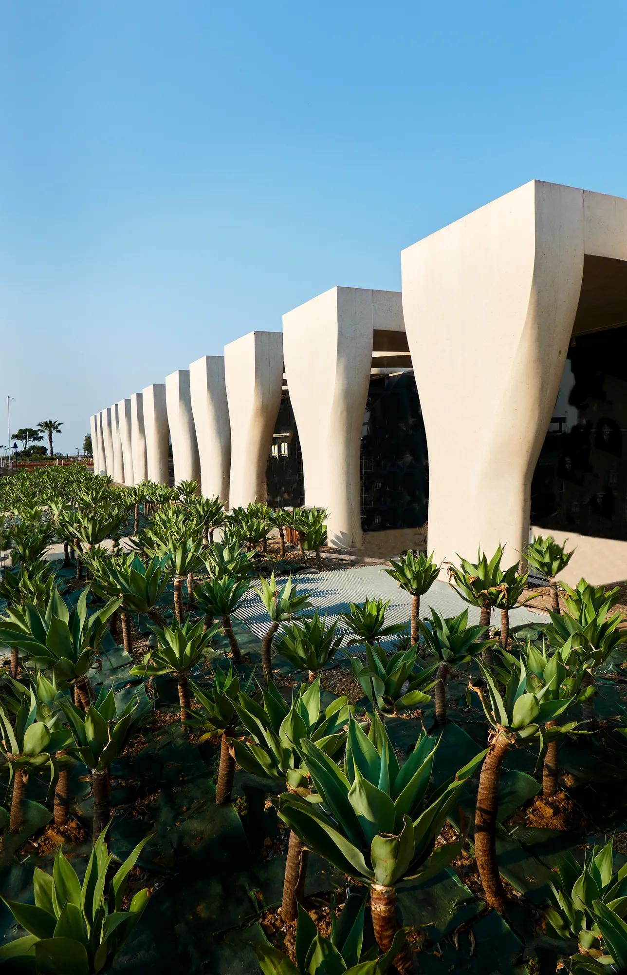 Colonnade blanche contemporaine aux piliers sculpturaux, bordée de plantes paysagées sous un ciel bleu.