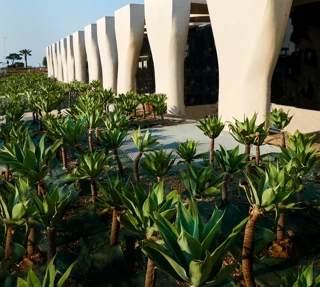 Modern white colonnade with sculptural pillars, bordered by landscaped plants under a clear blue sky.
