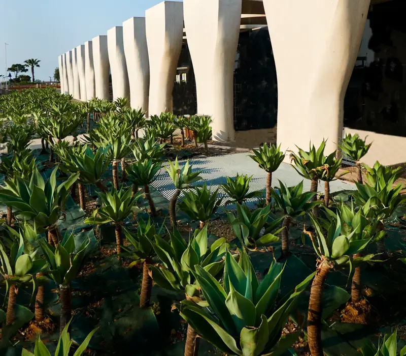 Modern white colonnade with sculptural pillars, bordered by landscaped plants under a clear blue sky.
