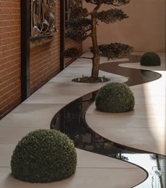 An image of a stream and a tree in a garden