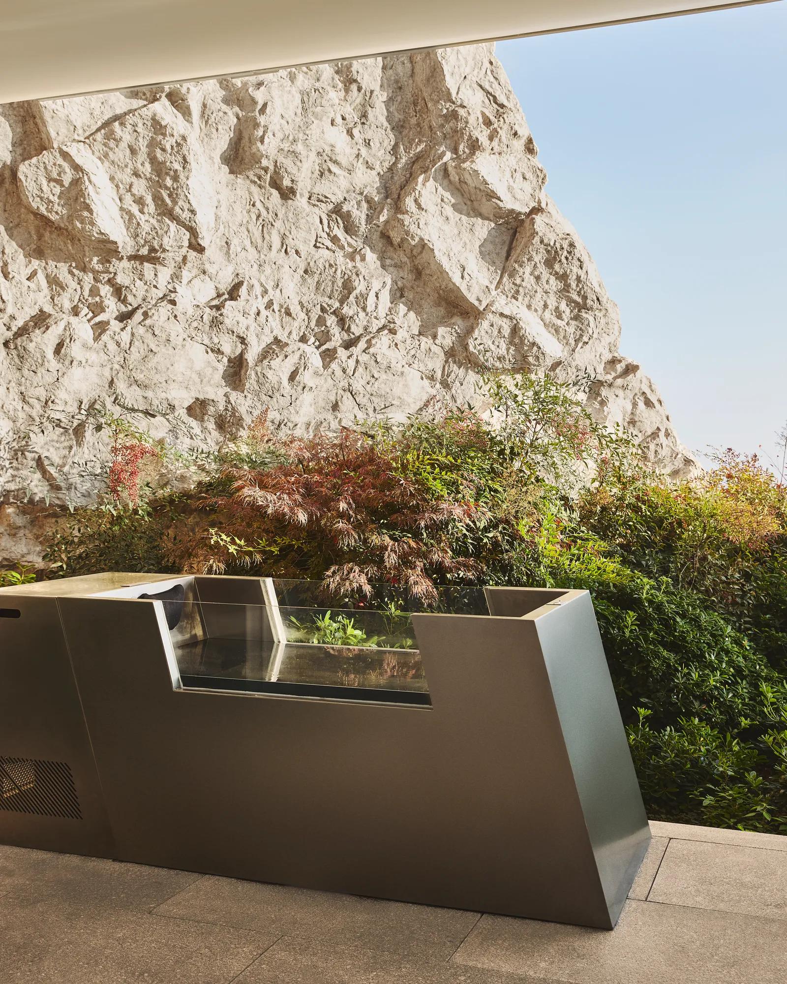 Modern outdoor ice bath beside landscaped greenery and a stone cliff wall.