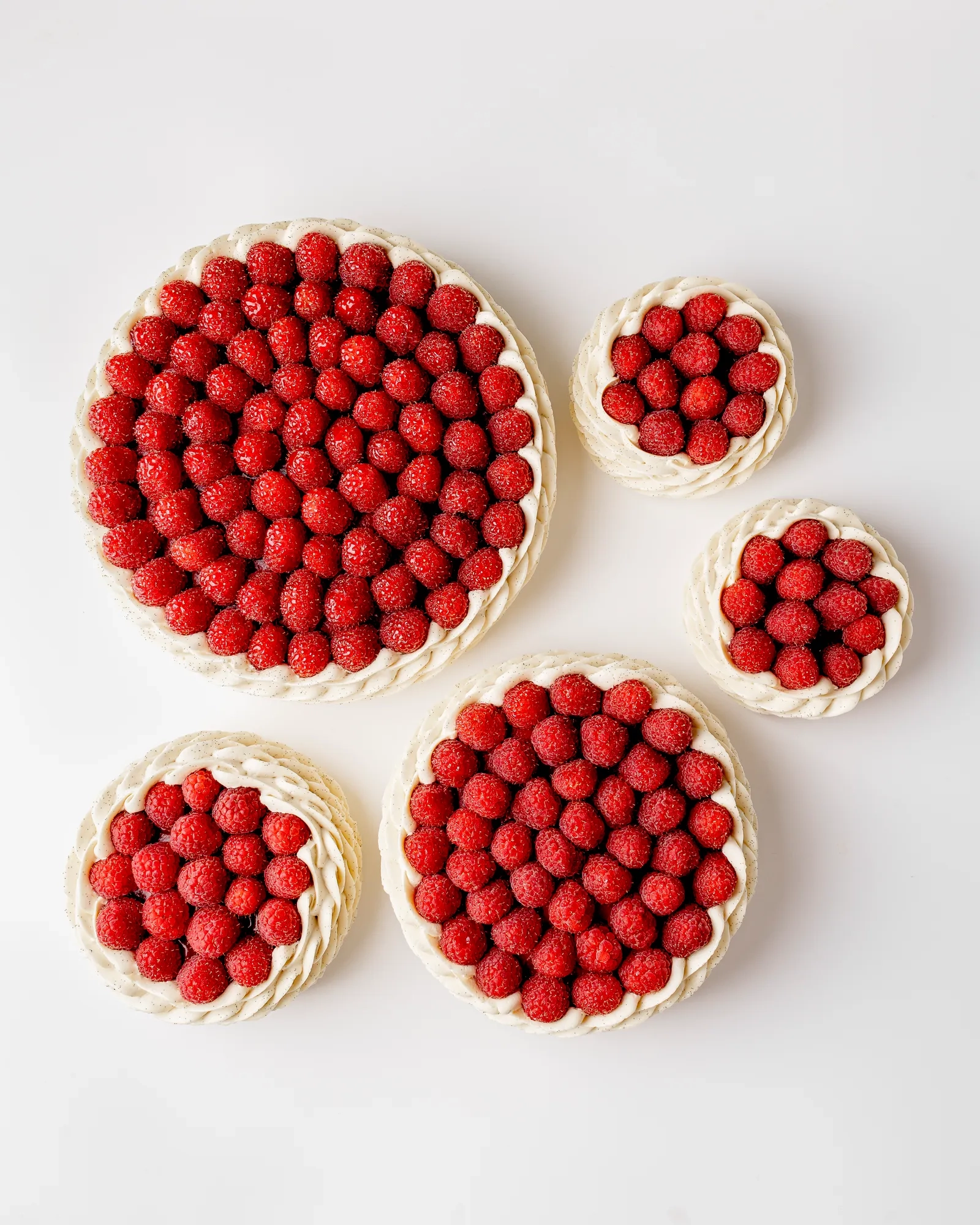 Selection of raspberry tarts in varying sizes, topped with fresh berries on a white background.
