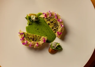 Artfully plated dish with green sauce, layered vegetable slices, and small edible flowers on a white plate.