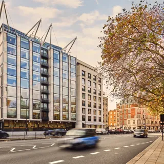 Modern glass-fronted building with steel framework on a city street, cars passing and autumn tree to the side