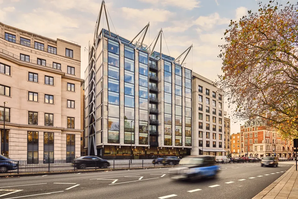 Modern glass-fronted building with steel framework on a city street, cars passing and autumn tree to the side