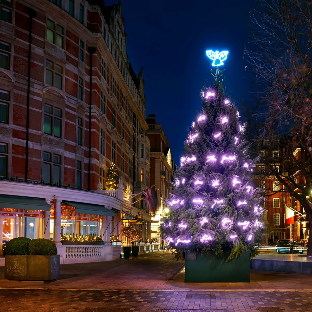 Large Christmas tree with purple lights and glowing angel topper outside luxury hotel at night.