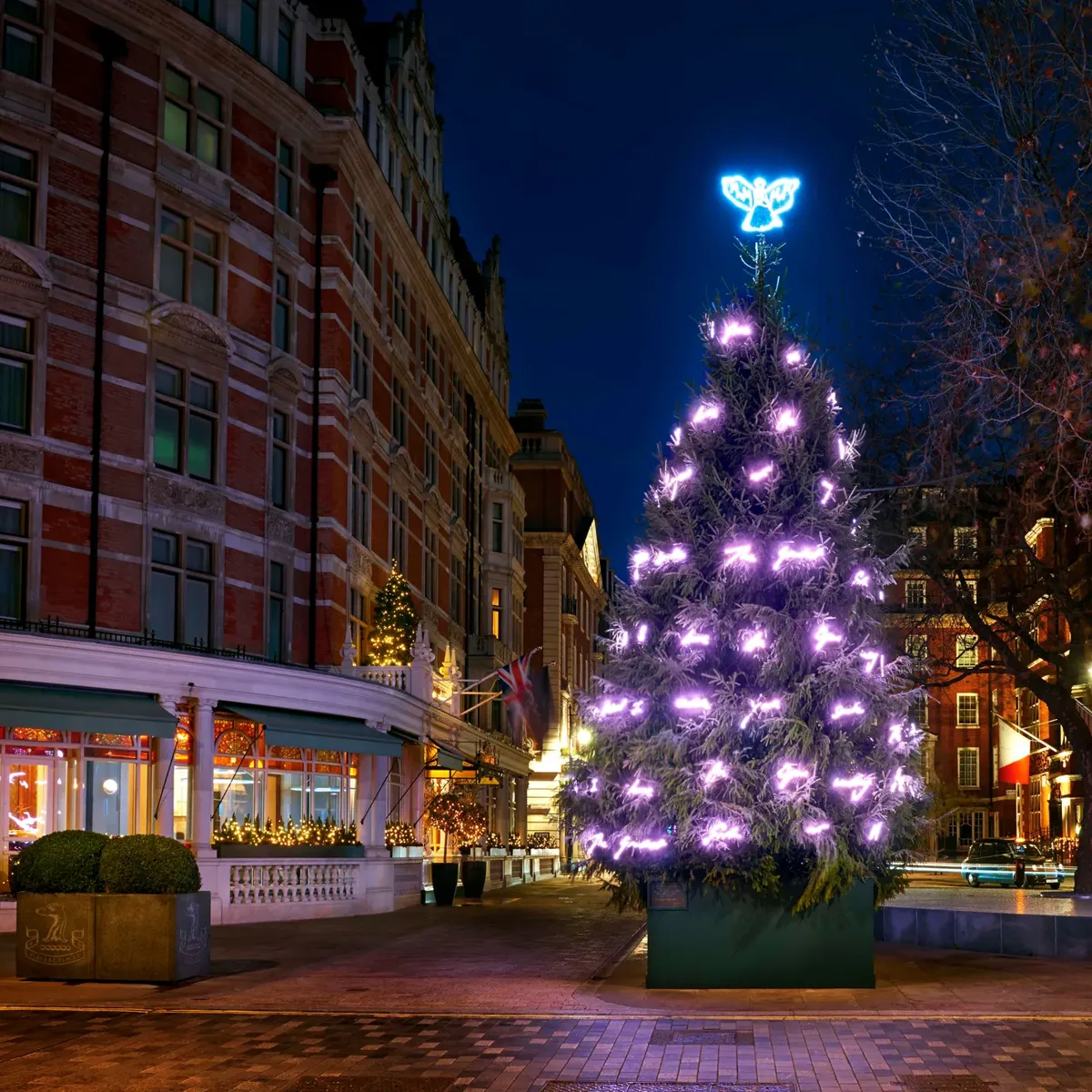 Large Christmas tree with purple lights and glowing angel topper outside luxury hotel at night.