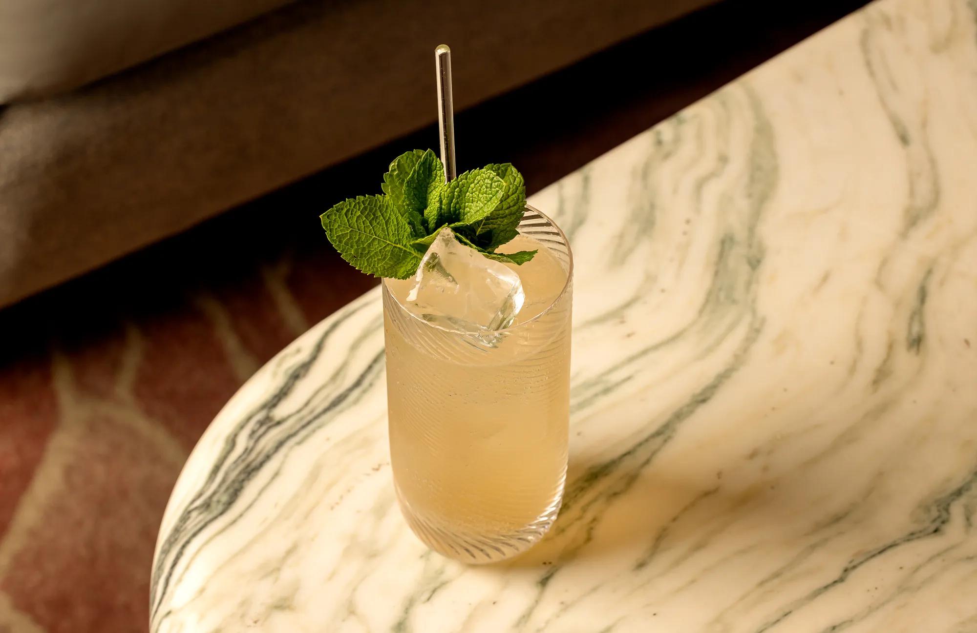 Tall iced cocktail garnished with fresh mint on a marbled table.