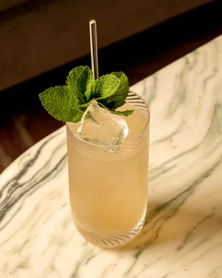 Tall iced cocktail garnished with fresh mint on a marbled table.