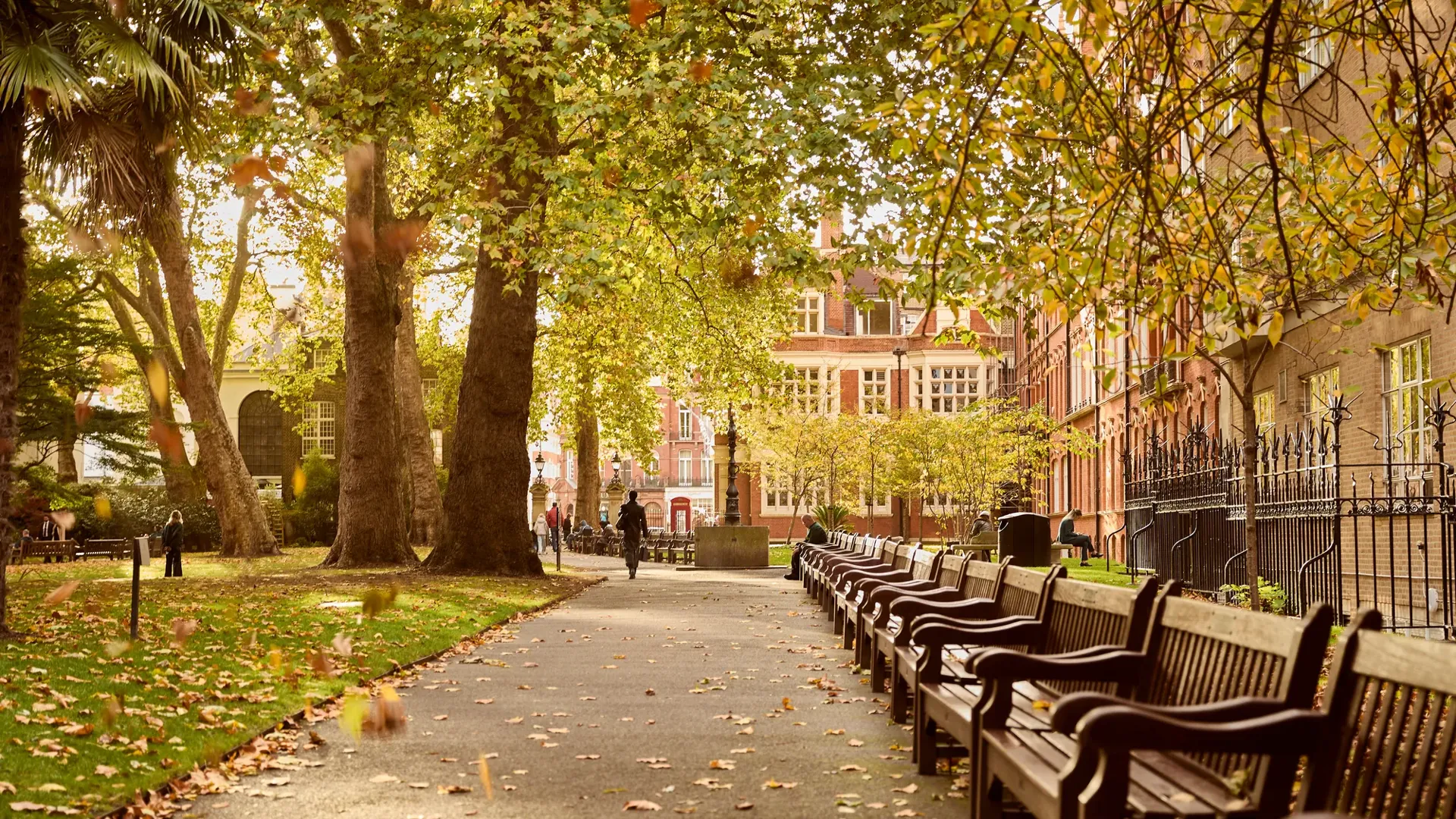 Tree-lined garden path with wooden benches, fallen autumn leaves, and historic buildings in the background.