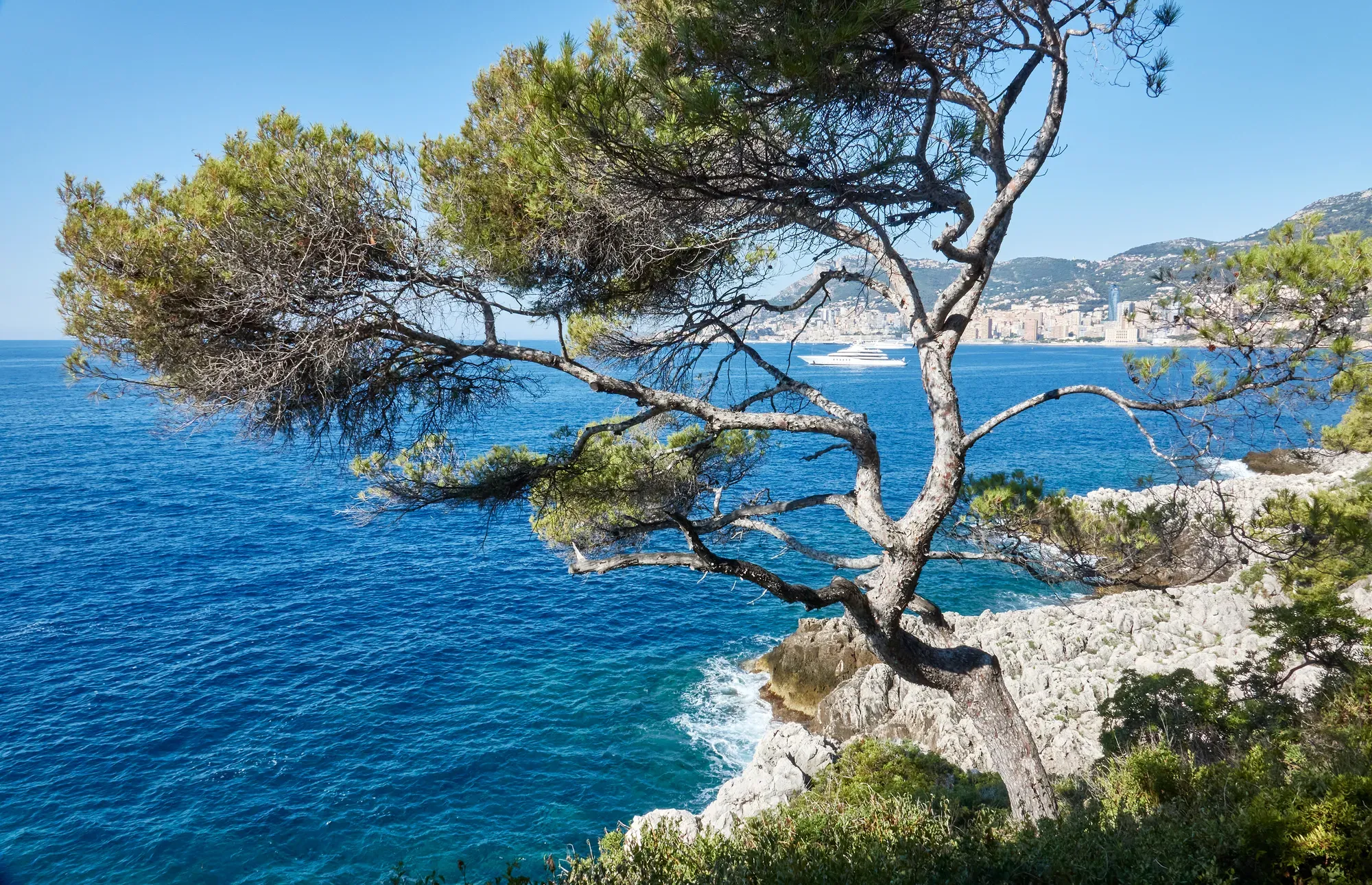 A panoramic view of Roquebrune‑Cap‑Martin on the French Riviera, showcasing its coastal landscape, Mediterranean architecture, and sweeping sea views.