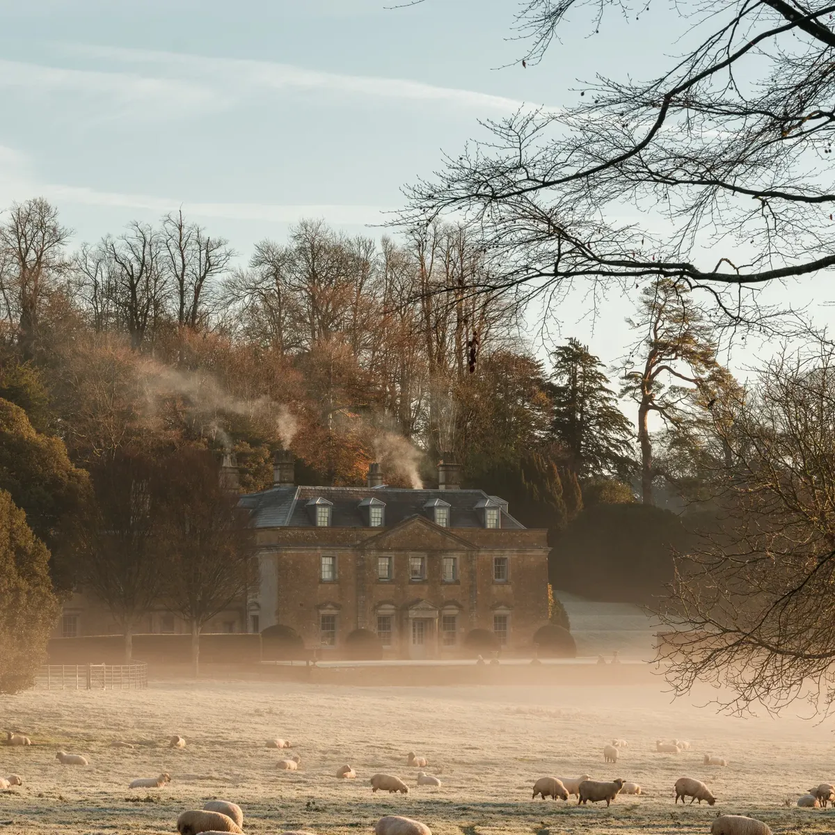 Sheep grazing on misty field in front of country house with trees in soft morning light.