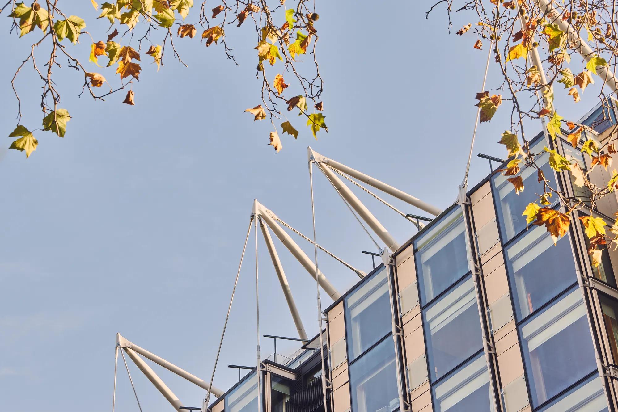 Modern building roof with white support cables, framed by autumn leaves against a clear blue sky.