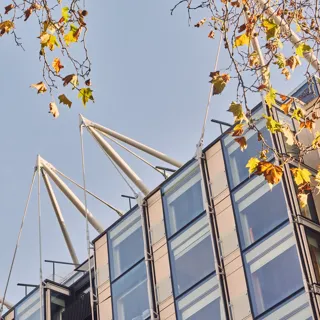Modern building roof with white support cables, framed by autumn leaves against a clear blue sky.