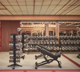 Modern gym with free weights, adjustable benches, mirrored walls, and exercise bikes under warm wood-paneled ceilings.