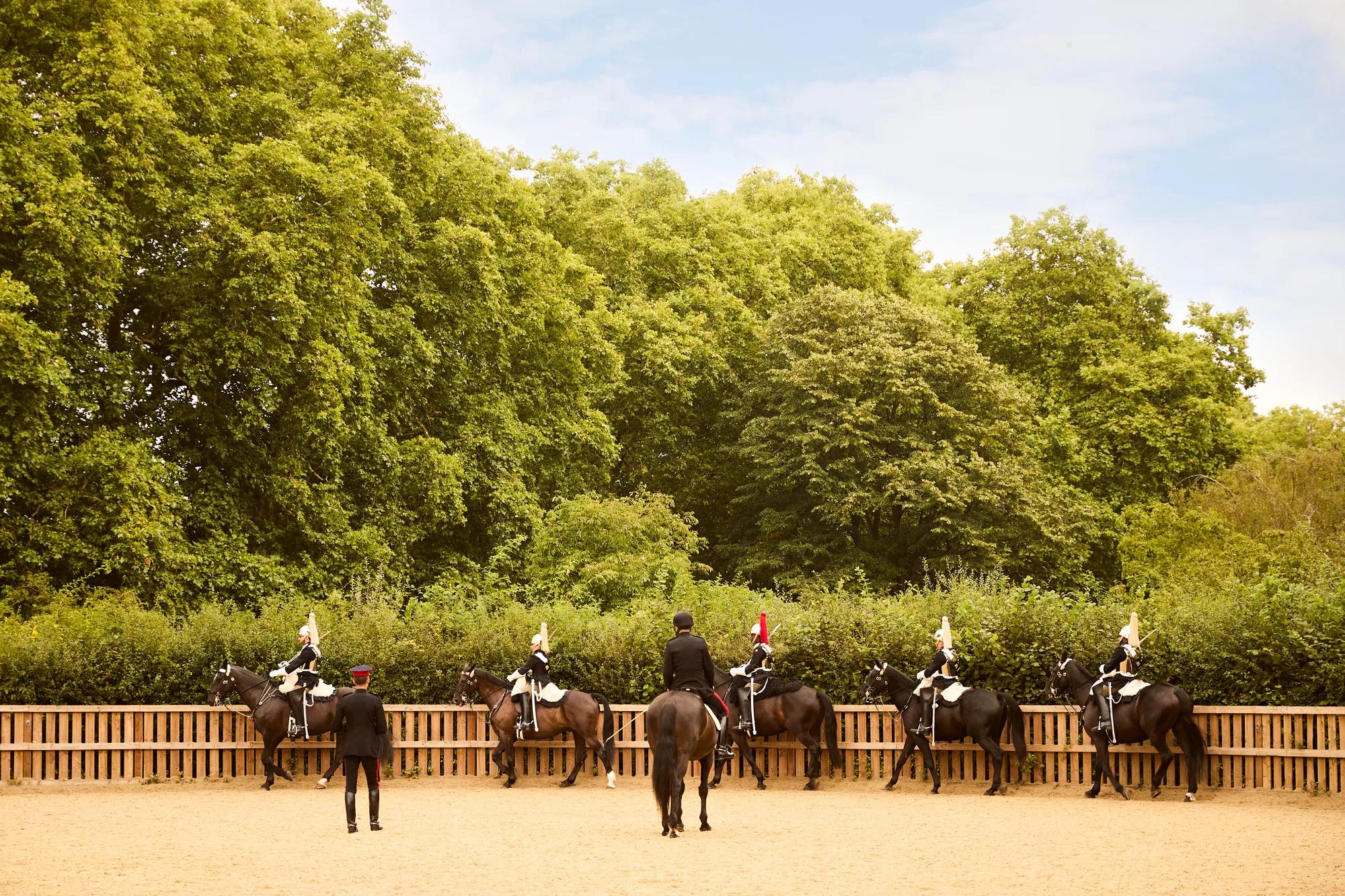 Horses walking in a line, one following directly behind another across an open area.