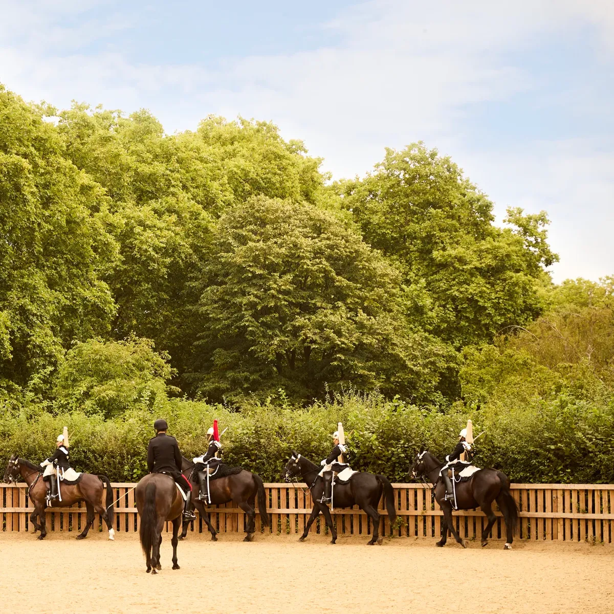 Horses walking in a line, one following directly behind another across an open area.