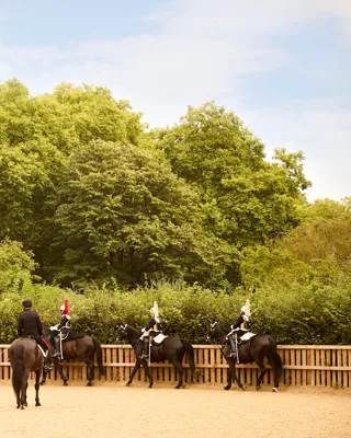 Horses walking in a line, one following directly behind another across an open area.