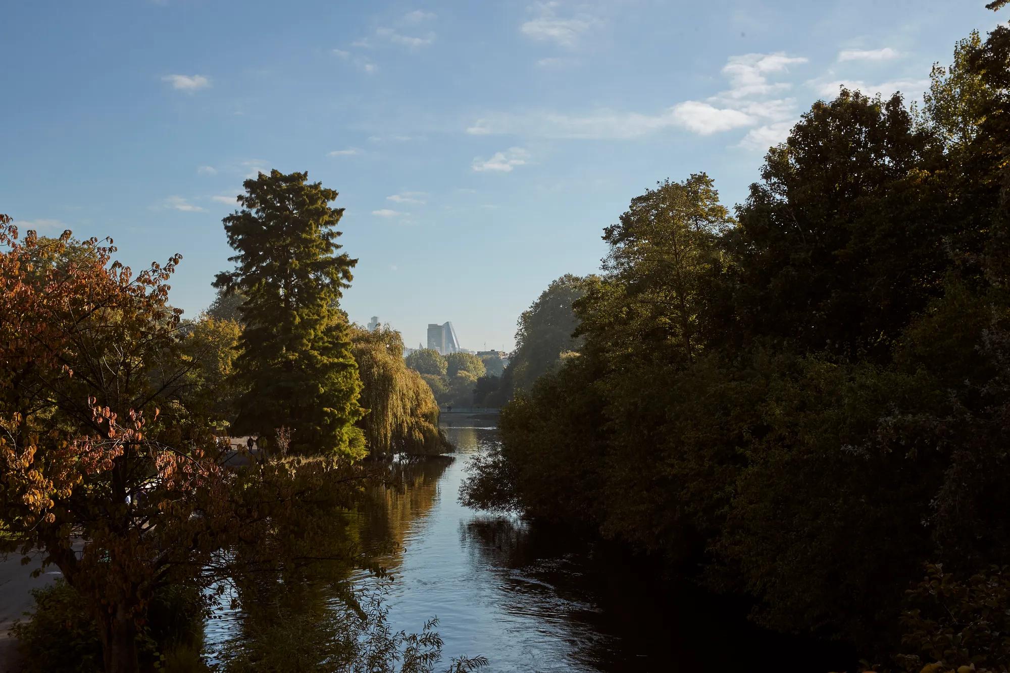 A tranquil view of a tree-lined lake in London’s Hyde Park with calm water reflecting the blue sky, framed by autumn foliage and distant city buildings on the horizon.