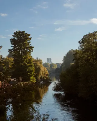 A tranquil view of a tree-lined lake in London’s Hyde Park with calm water reflecting the blue sky, framed by autumn foliage and distant city buildings on the horizon.