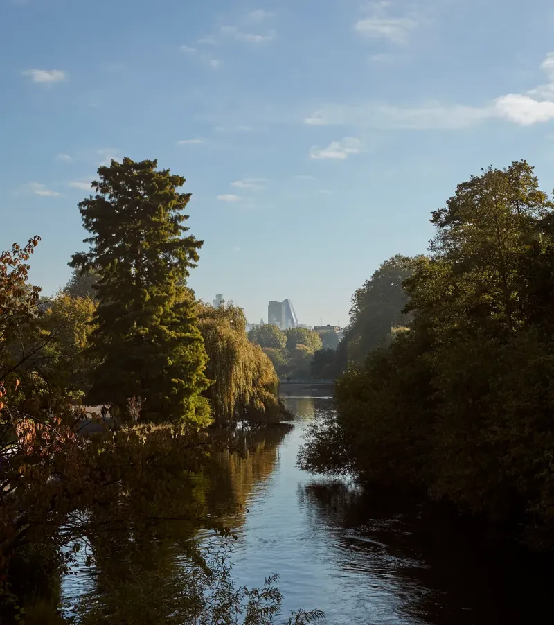 A tranquil view of a tree-lined lake in London’s Hyde Park with calm water reflecting the blue sky, framed by autumn foliage and distant city buildings on the horizon.