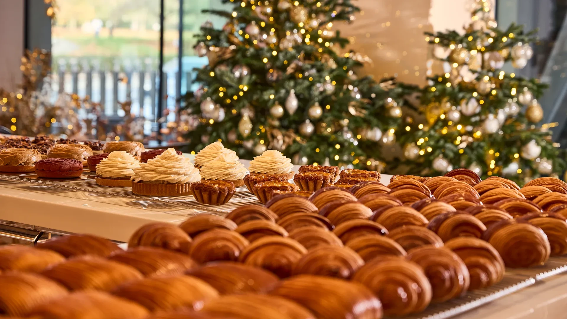 Assorted pastries displayed on a counter with decorated Christmas trees glowing in the background.