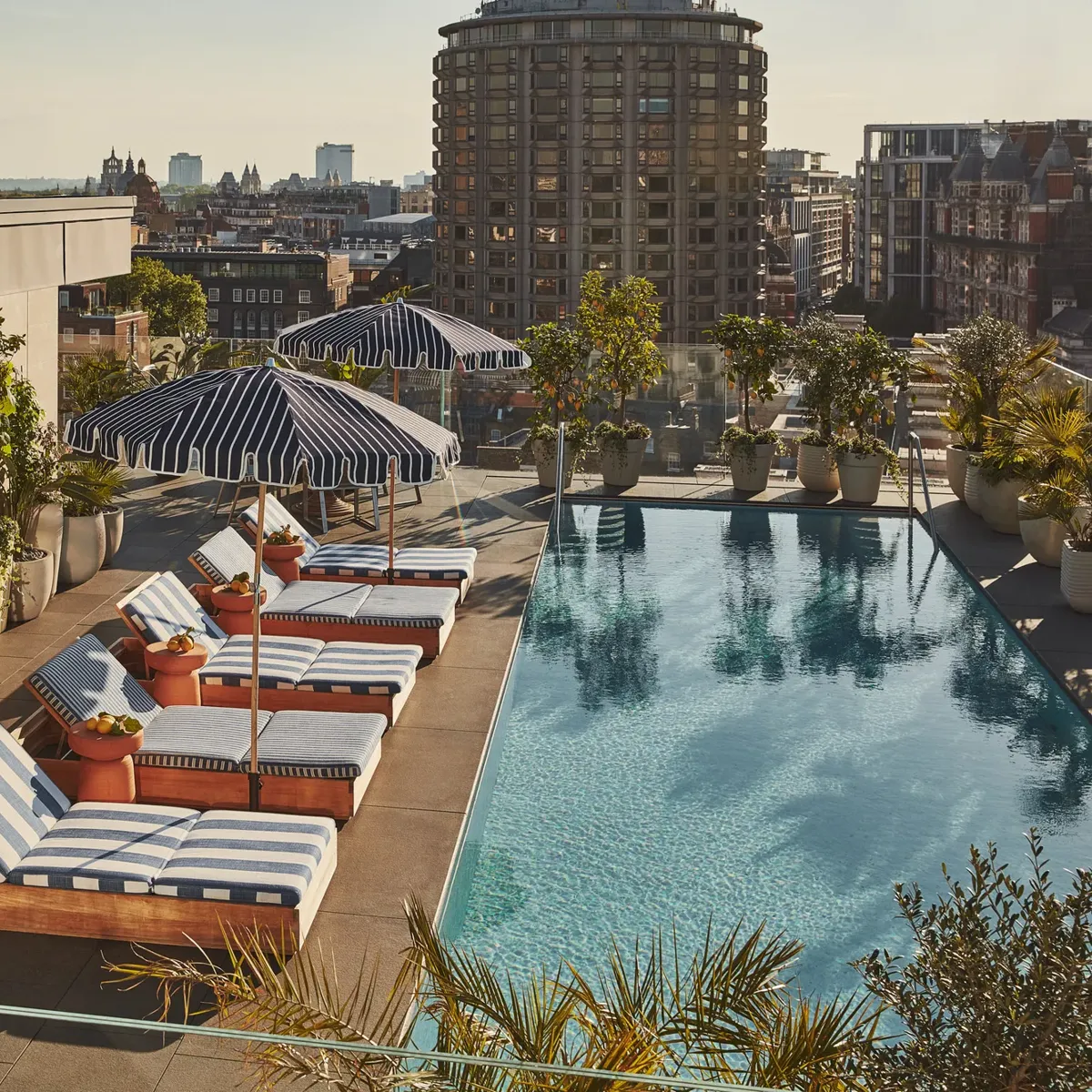 Rooftop pool with striped loungers, bar seating, greenery, and city skyline views.