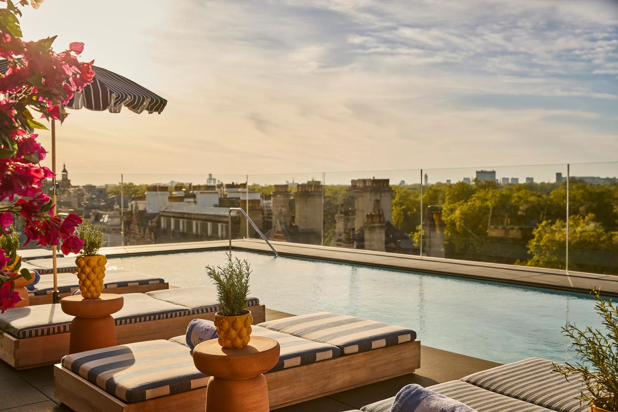 Rooftop pool with striped loungers, flowering plants and panoramic views across treetops and the city skyline.
