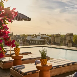 Rooftop pool with striped loungers, flowering plants and panoramic views across treetops and the city skyline.