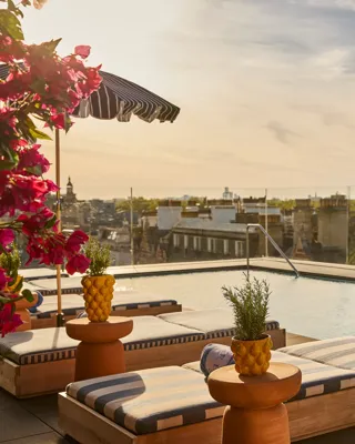 Rooftop pool with striped loungers, flowering plants and panoramic views across treetops and the city skyline.