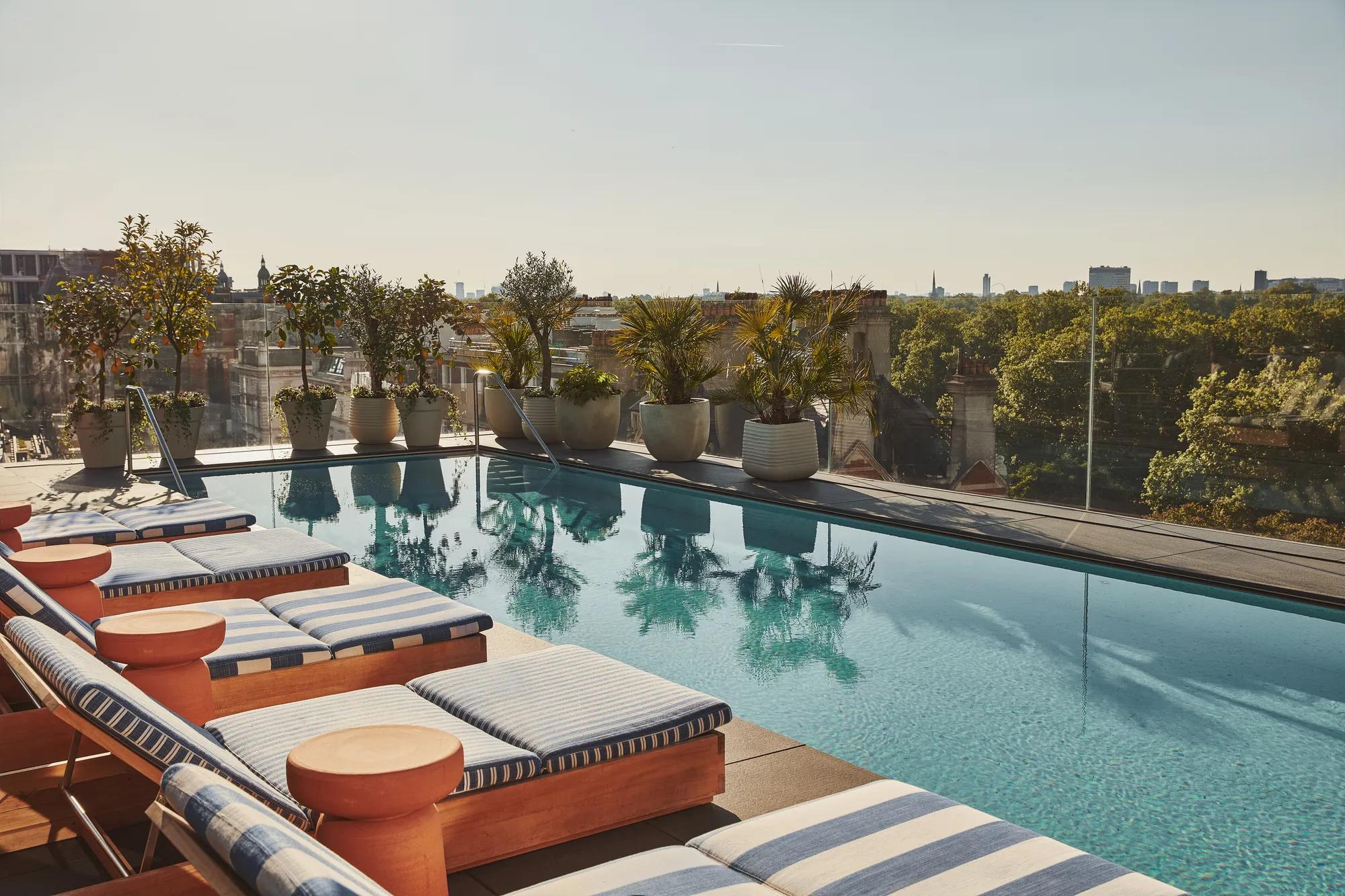 Rooftop pool lined with blue-striped loungers and potted plants, overlooking the city skyline and treetops.