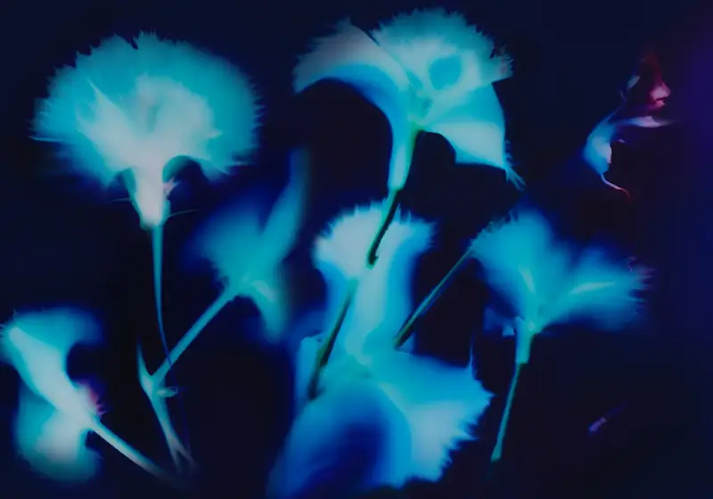 Abstract blue floral forms glowing against a dark background, creating a dreamlike, ethereal effect.