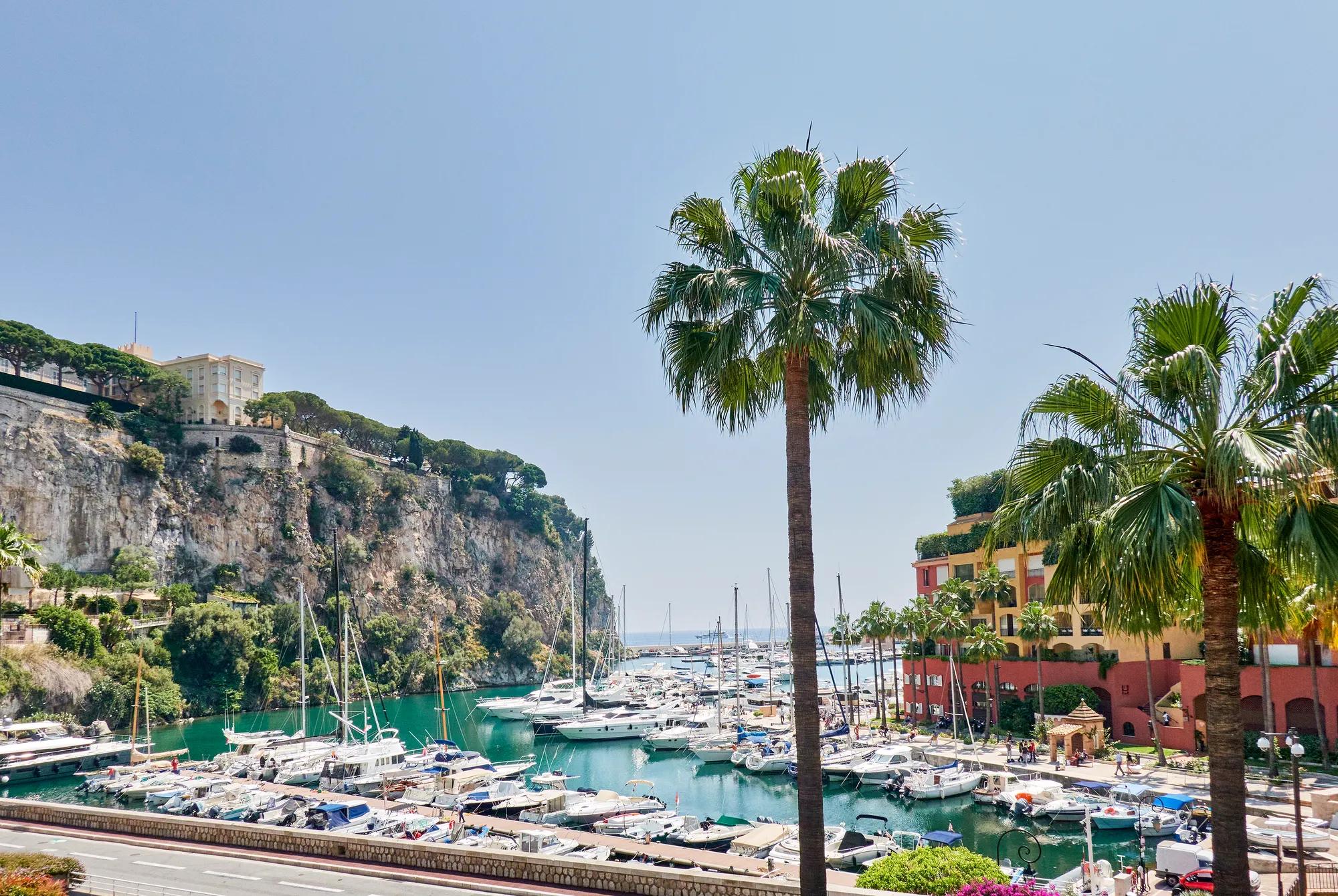 Marina filled with boats and yachts beside palm trees, colorful waterfront buildings, and a rocky cliff under a clear blue sky.