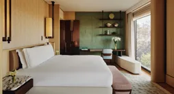 Contemporary bedroom with king bed, green feature wall, bespoke shelving, and park view through floor-to-ceiling window.