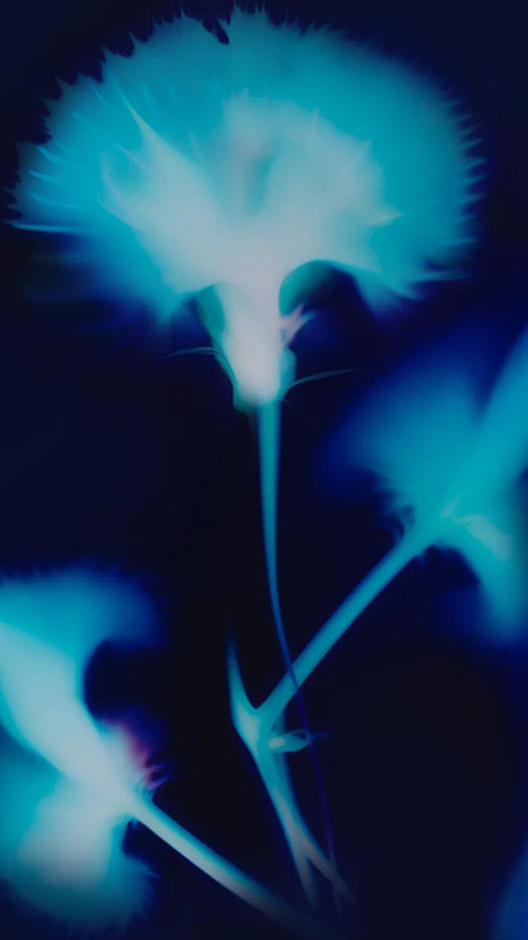 Abstract image featuring soft blue and turquoise lighting with blurred, flowing shapes creating a dynamic and ethereal effect.