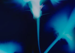 Abstract image featuring soft blue and turquoise lighting with blurred, flowing shapes creating a dynamic and ethereal effect.