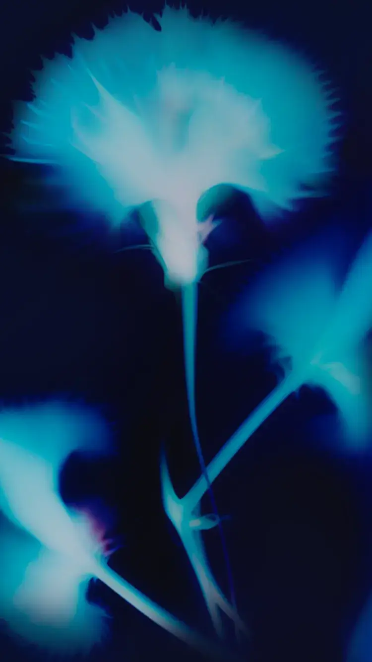 Abstract image featuring soft blue and turquoise lighting with blurred, flowing shapes creating a dynamic and ethereal effect.