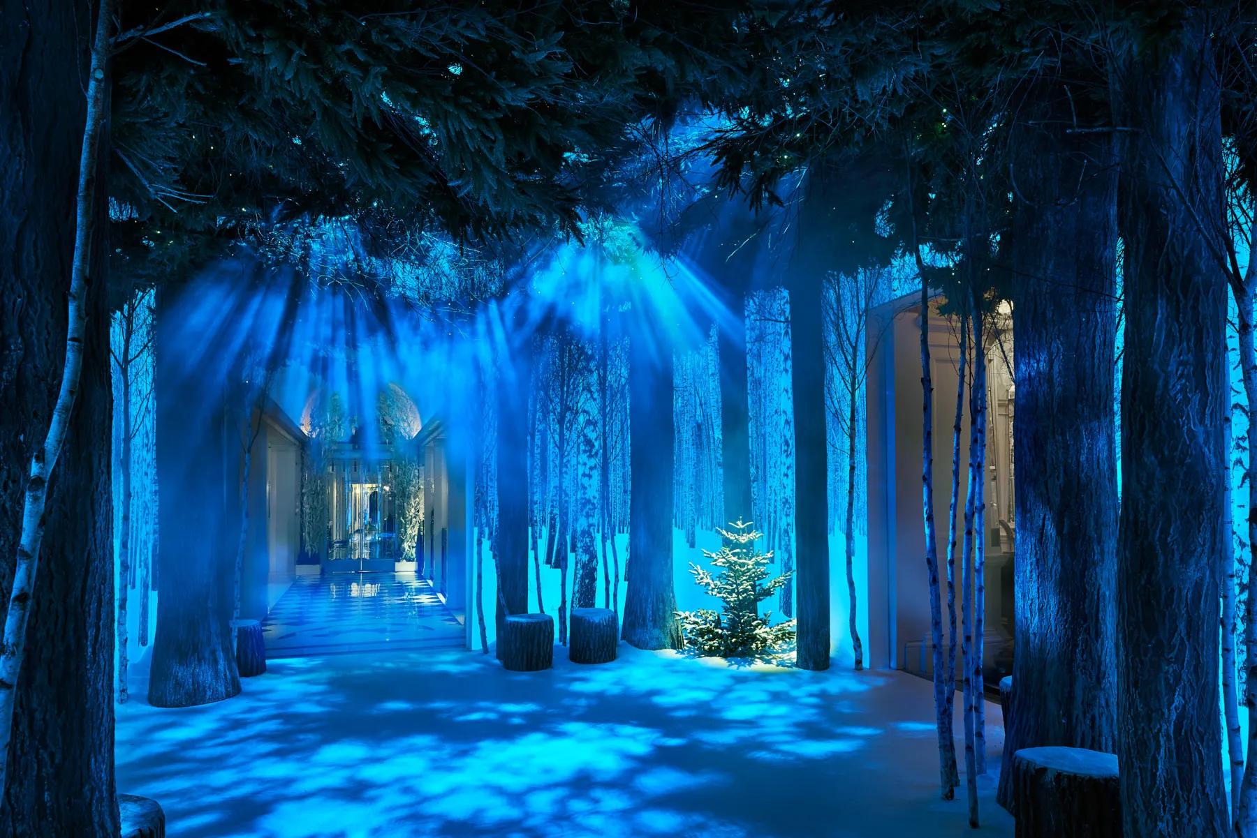 Immersive indoor forest installation with tall trees, blue lighting and mist, featuring a pathway and small illuminated Christmas tree beneath dramatic light beams.