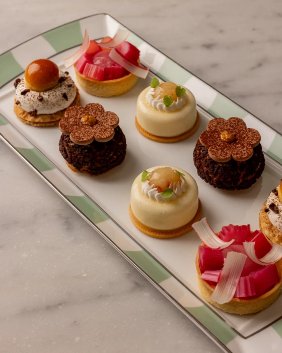 A rectangular plate arranged with delicate bite-size pastries, including chocolate, vanilla and rhubarb-topped creations on a marble surface.