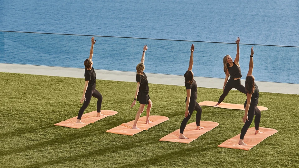 Group practising yoga on mats outdoors, overlooking the sea from a grassy terrace.