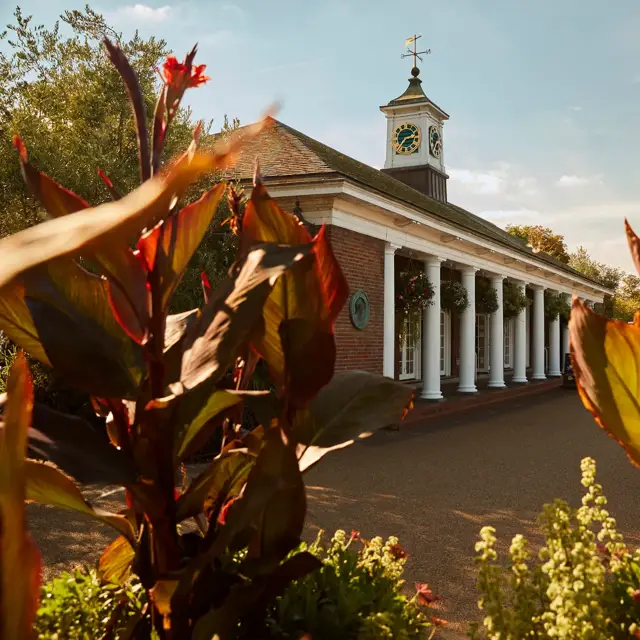 Red-brick building with white columns and clock tower, framed by tall plants against a blue sky.