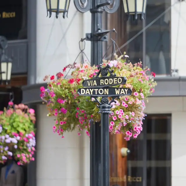 A street crossover sign at Rodeo Drive, Beverlyhills.